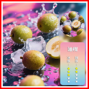 XIAOKE梟客電子煙五代菸彈3顆入【油柑】適配五代主機