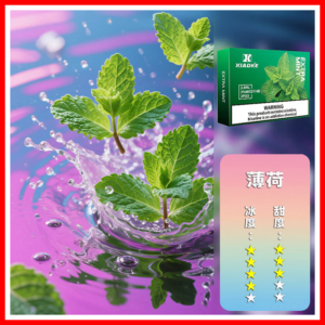 XIAOKE梟客電子煙五代菸彈3顆入【薄荷】適配五代主機